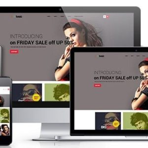 Ap Basic - Fashion Shopify Theme
